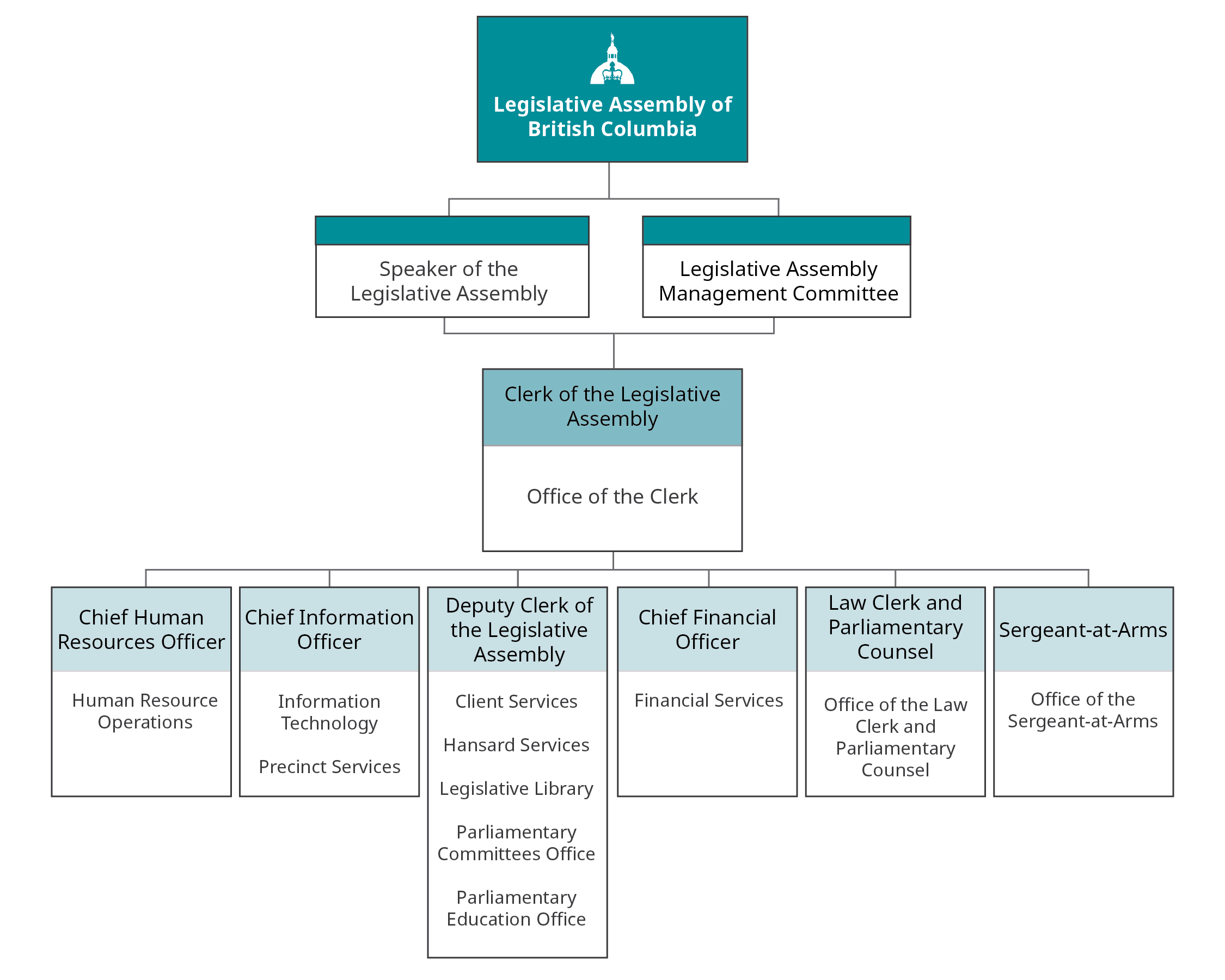 Organizational structure for Organizational Governance and Administration Team