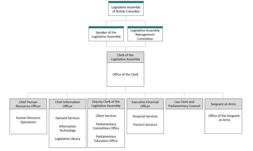 Organizational structure for Organizational Governance and Administration Team